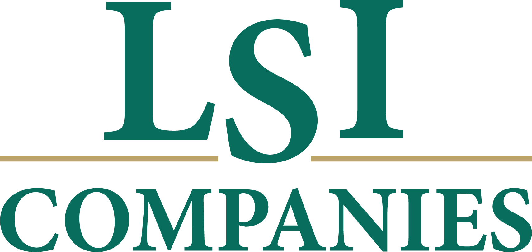 LSI Companies